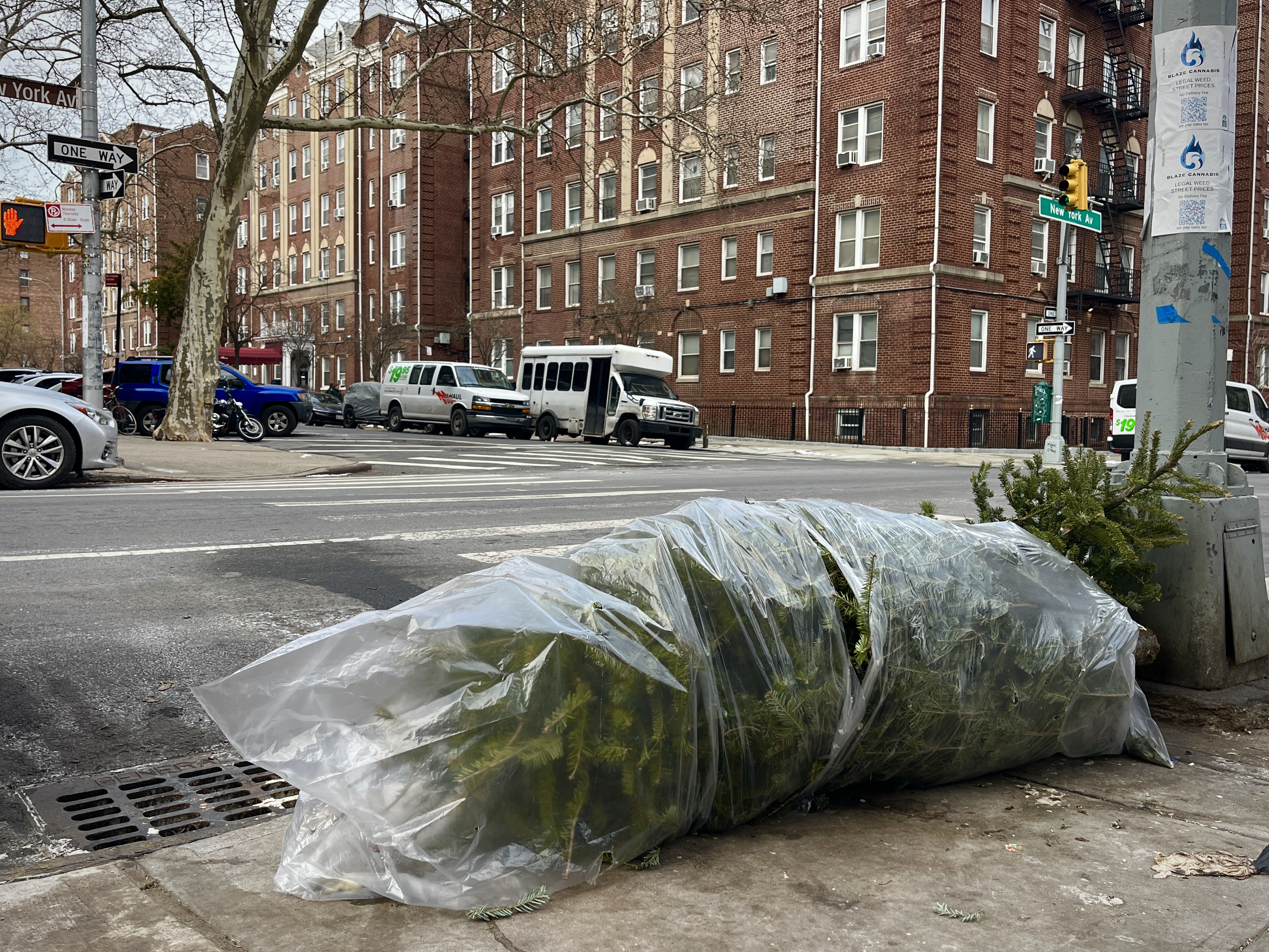 A Christmas tree wrapped in plastic on a curb.
